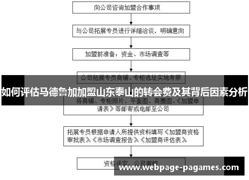 如何评估马德鲁加加盟山东泰山的转会费及其背后因素分析