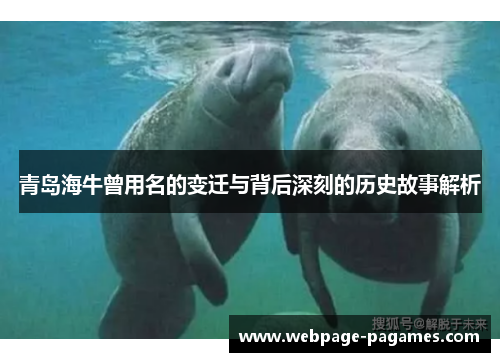 青岛海牛曾用名的变迁与背后深刻的历史故事解析
