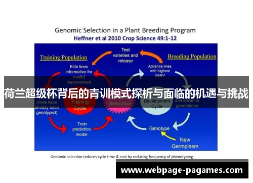 荷兰超级杯背后的青训模式探析与面临的机遇与挑战